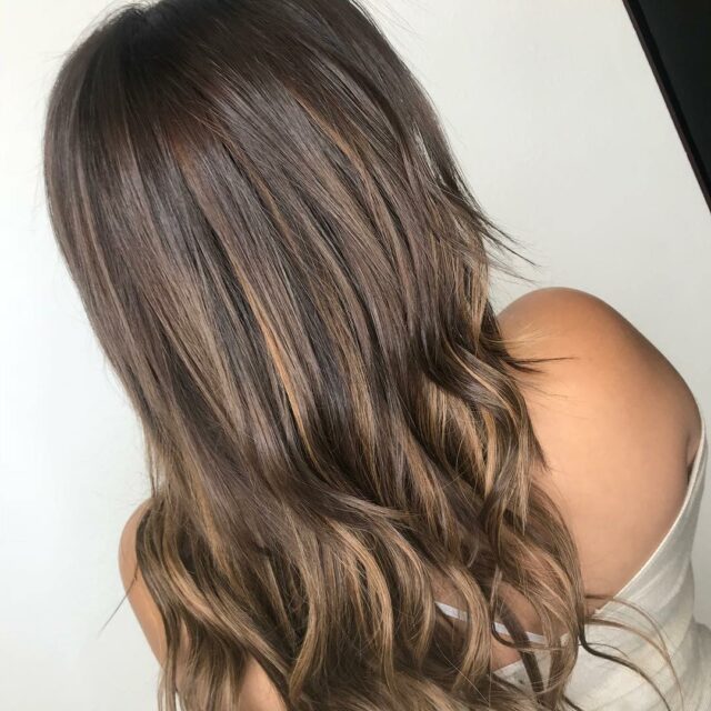 Brown Hair With Subtle Highlights 5772